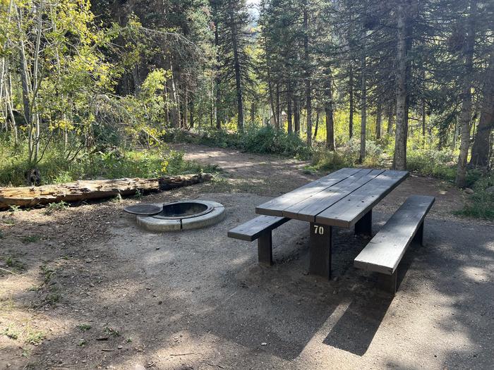 Ledgefork 70 picnic table and fire ring