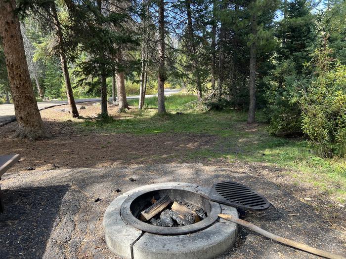 Ledgefork 37 tent area and fire ring