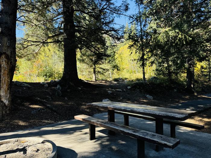 A photo of Site 014 of Loop TREE ARMY, Area A at GRANITE FLAT (UTAH)  with Picnic Table, Fire Pit, Tent Pad