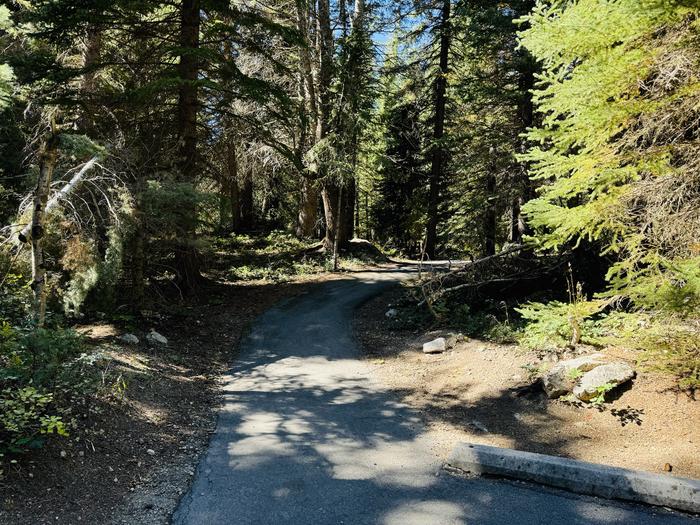 Walking path to site 