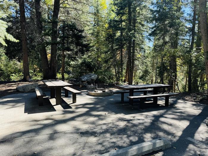 Picnic Table, Fire Pit