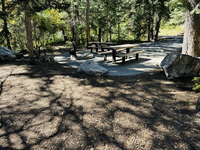 Picnic Table, Tent Pad