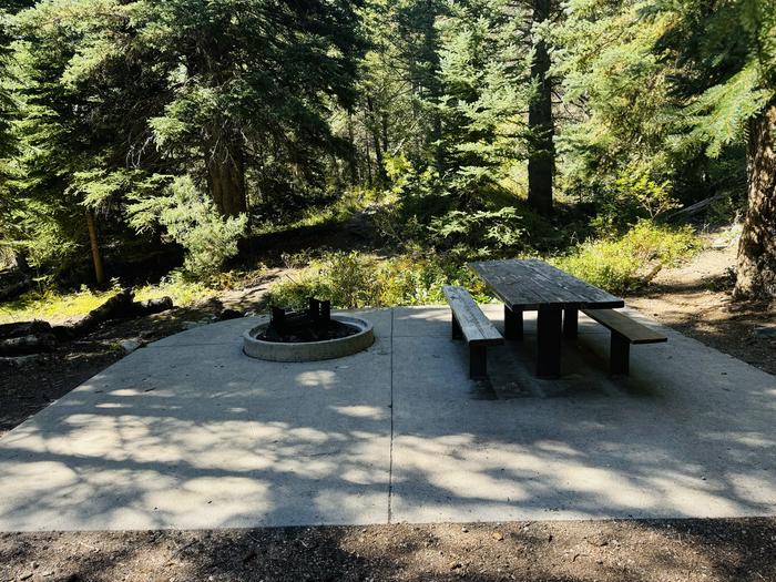 A photo of Site 062 of Loop SPIKE CAMP. Area B at GRANITE FLAT (UTAH)  with Picnic Table, Fire Pit