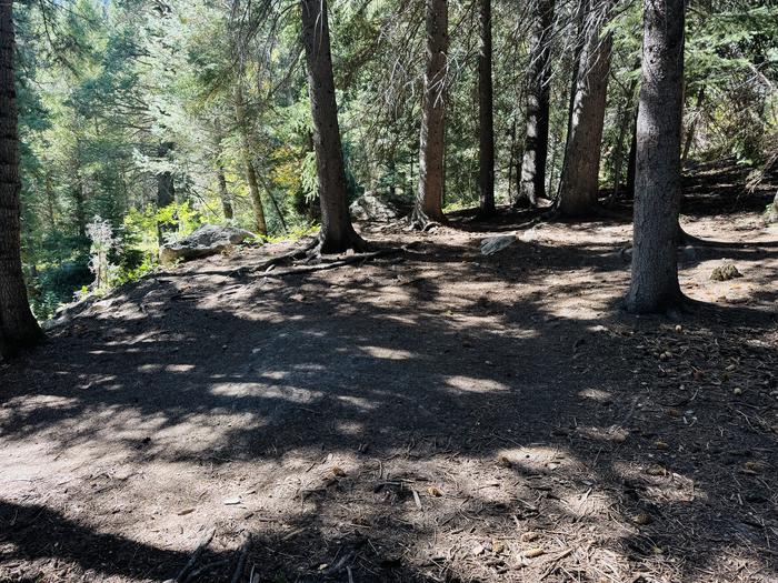 A photo of Site 062 of Loop SPIKE CAMP. Area B at GRANITE FLAT (UTAH)  with Tent Pad