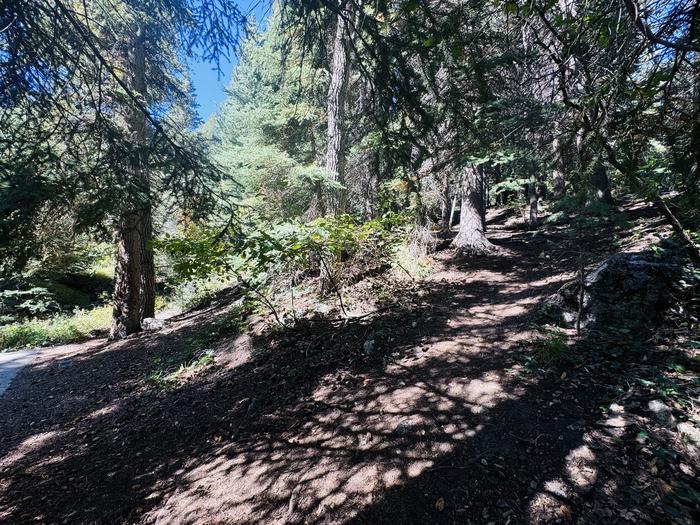 A photo of Site 062 of Loop SPIKE CAMP. Area B at GRANITE FLAT (UTAH)  with Tent Pad