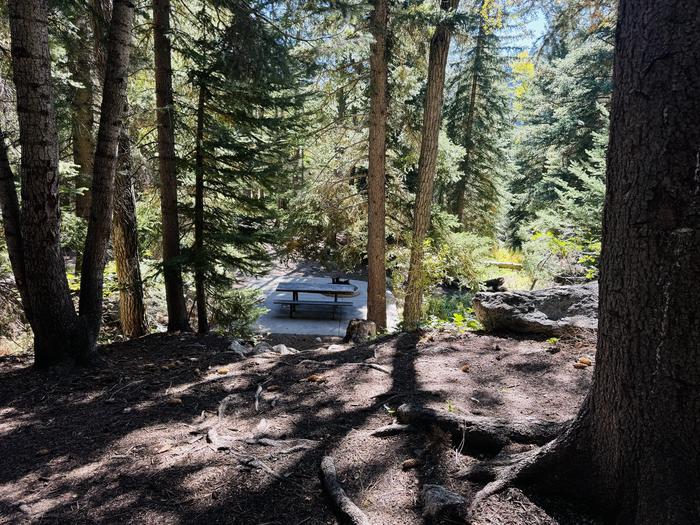 A photo of Site 062 of Loop SPIKE CAMP. Area B at GRANITE FLAT (UTAH)  with Picnic Table from tent pad