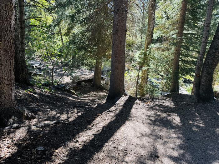 A photo of Site 062 of Loop SPIKE CAMP. Area B at GRANITE FLAT (UTAH)  with Tent Pad