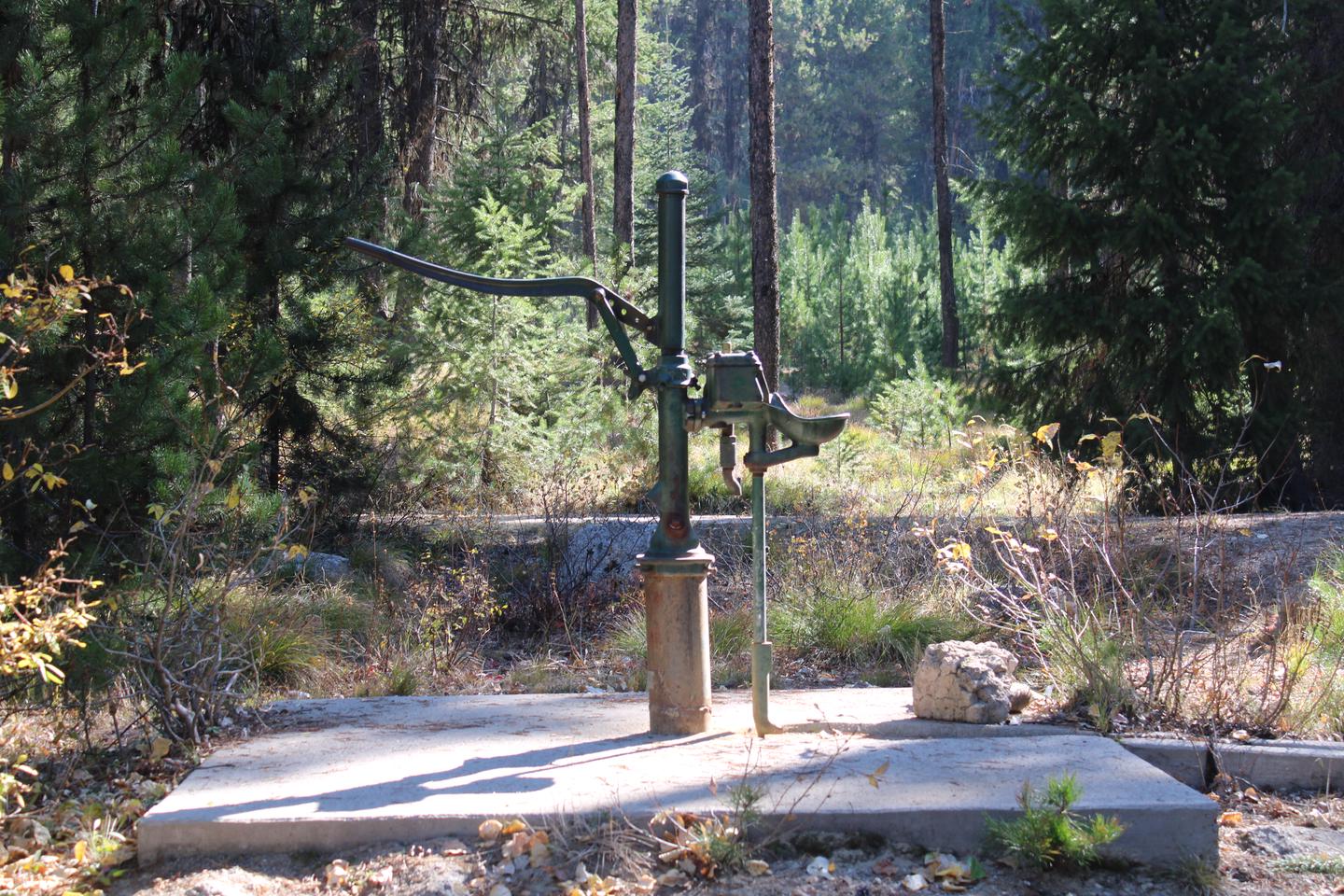 Site water pump