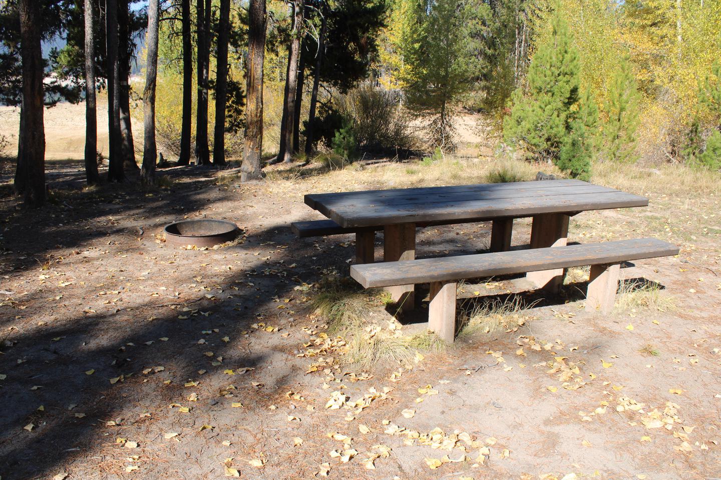 Site table and fire ring