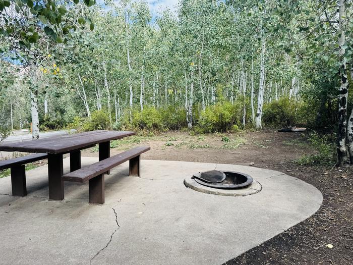 A photo of Site C09 of Loop C at PAYSON LAKES with Picnic Table, Fire Pit, Tent Pad