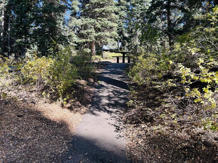 Path to picnic table 