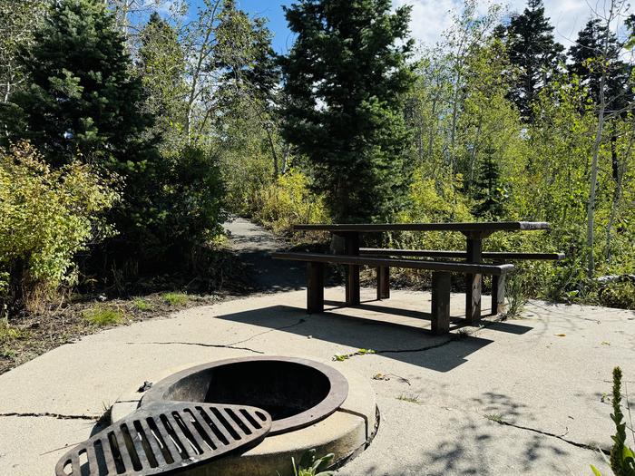 A photo of Site B09 of Loop B at PAYSON LAKES with Picnic Table, Fire Pit