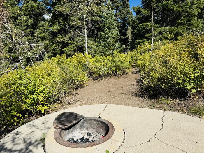 A photo of Site B09 of Loop B at PAYSON LAKES with Fire Pit, Tent Pad