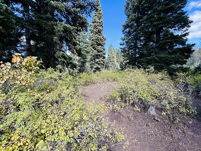 A photo of Site B11 of Loop B at PAYSON LAKES with Tent Pad