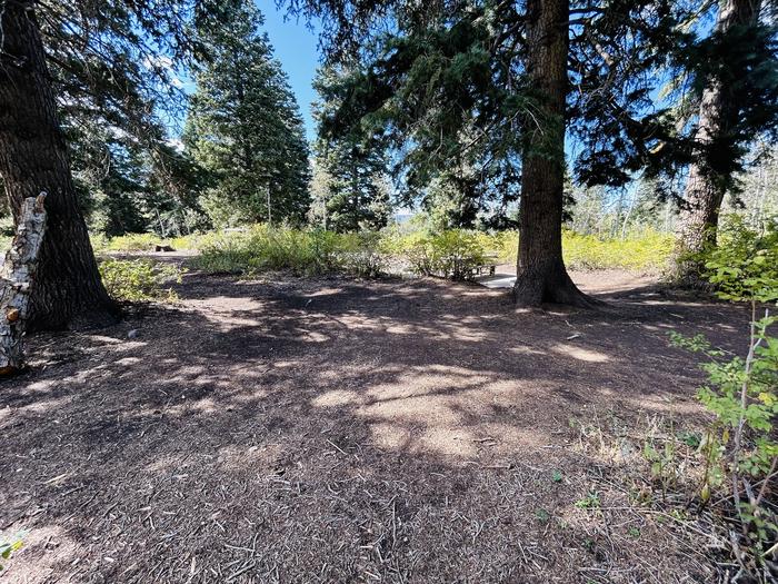 A photo of Site B13 of Loop B at PAYSON LAKES with Tent Pad