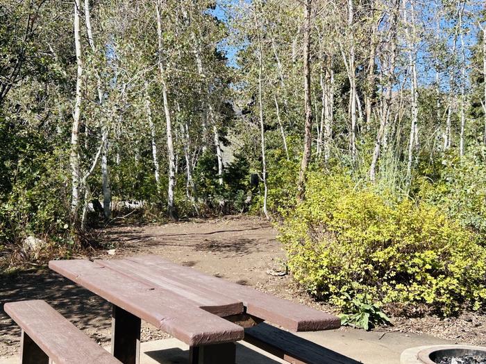 A photo of Site B16/17 of Loop B at PAYSON LAKES with Picnic Table, Fire Pit, Tent Pad