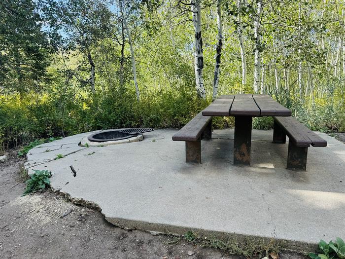 A photo of Site B20 of Loop B at PAYSON LAKES with Picnic Table, Fire Pit