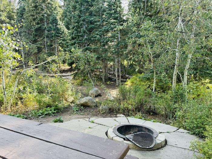 A photo of Site B20 of Loop B at PAYSON LAKES with Picnic Table, Fire Pit, Tent Pad