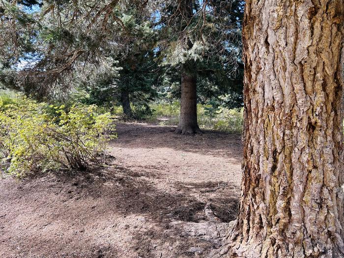 A photo of Site B25 of Loop B at PAYSON LAKES with Tent Pad