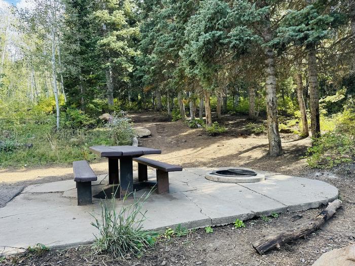 A photo of Site B21 of Loop B at PAYSON LAKES with Picnic Table, Fire Pit