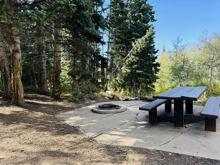 A photo of Site B21 of Loop B at PAYSON LAKES with Picnic Table, Fire Pit, Tent Pad