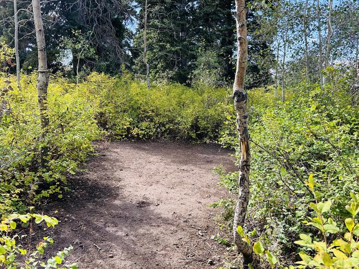 A photo of Site B29 of Loop B at PAYSON LAKES with Tent Pad