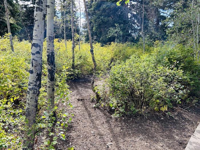 A photo of Site B29 of Loop B at PAYSON LAKES with Tent Pad