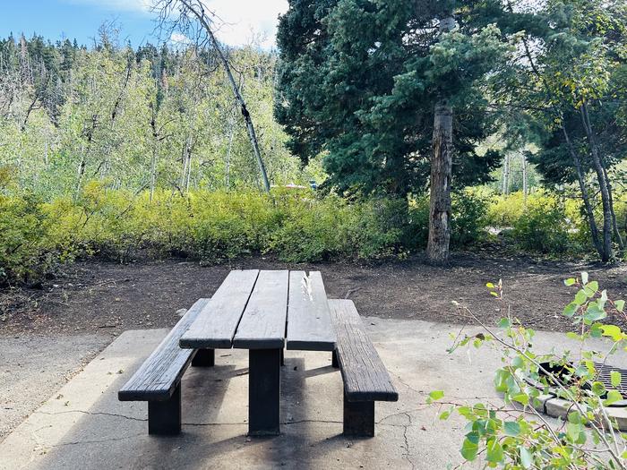 A photo of Site B29 of Loop B at PAYSON LAKES with Picnic Table, Fire Pit