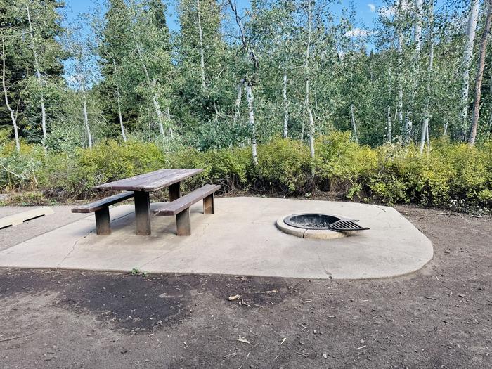 A photo of Site B31 of Loop B at PAYSON LAKES with Picnic Table, Fire Pit, Tent Pad