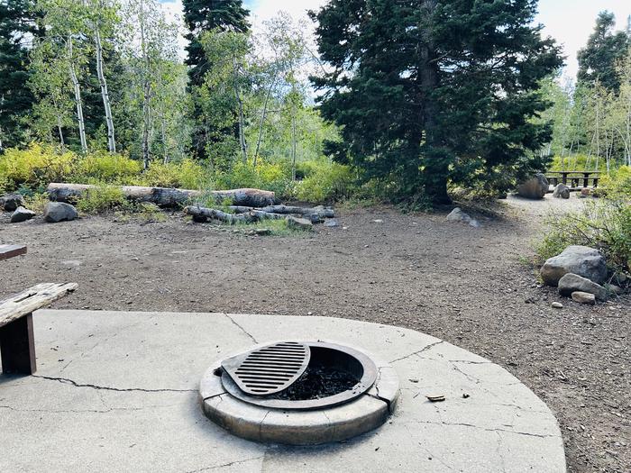 A photo of Site B38 of Loop B at PAYSON LAKES with Picnic Table, Fire Pit, Tent Pad