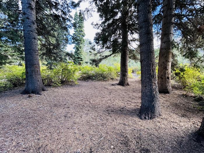 A photo of Site B34/35 of Loop B at PAYSON LAKES with Tent Pad