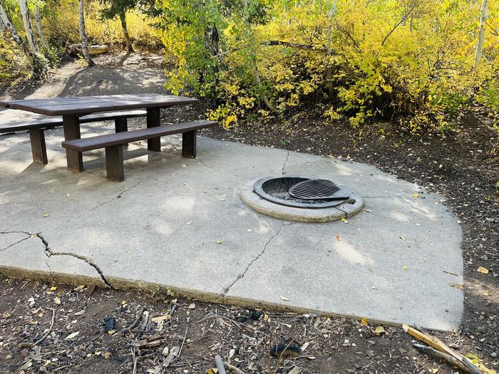 A photo of Site A06 of Loop A at PAYSON LAKES with Picnic Table, Fire Pit