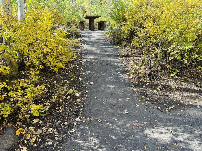 Path to picnic table 