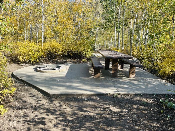 A photo of Site A09 of Loop A at PAYSON LAKES with Picnic Table, Fire Pit, Tent Pad