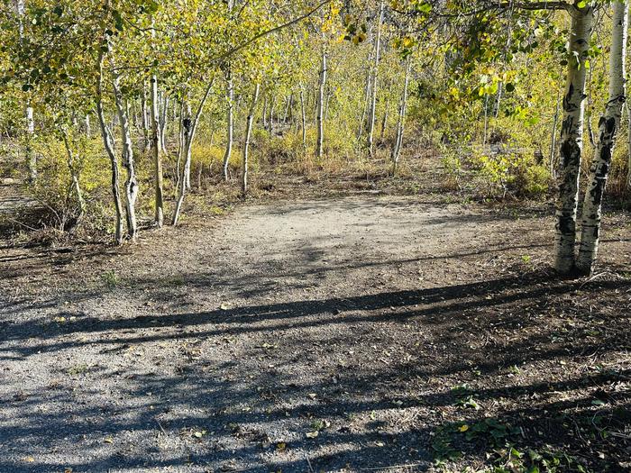 A photo of Site A11/12 of Loop A at PAYSON LAKES with Tent Pad