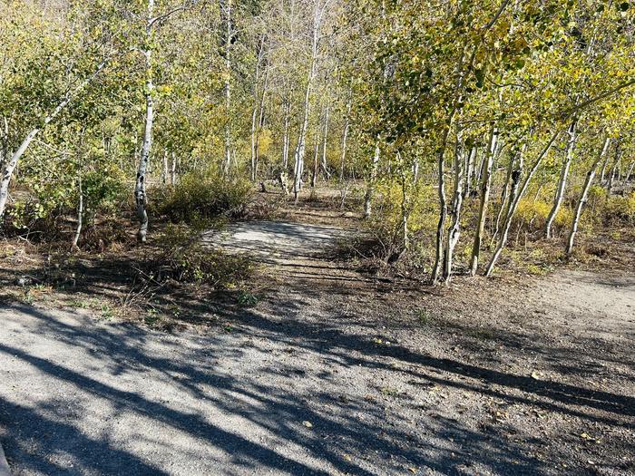 A photo of Site A11/12 of Loop A at PAYSON LAKES with Tent Pad