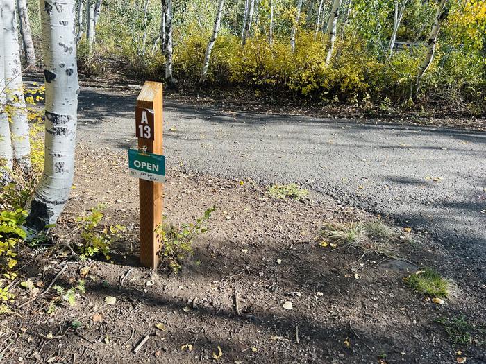 Site marker 