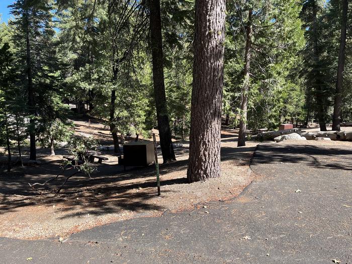 Parking pad showing bear box and picnic table next to treesParking pad