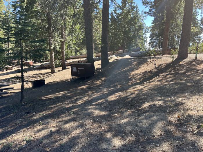 Left side of campsite showing bear box, fire ring, picnic table down a slope from parking padLeft side of campsite