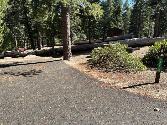 Parking pad showing bear box and fire ring with a large log in backgroundParking pad