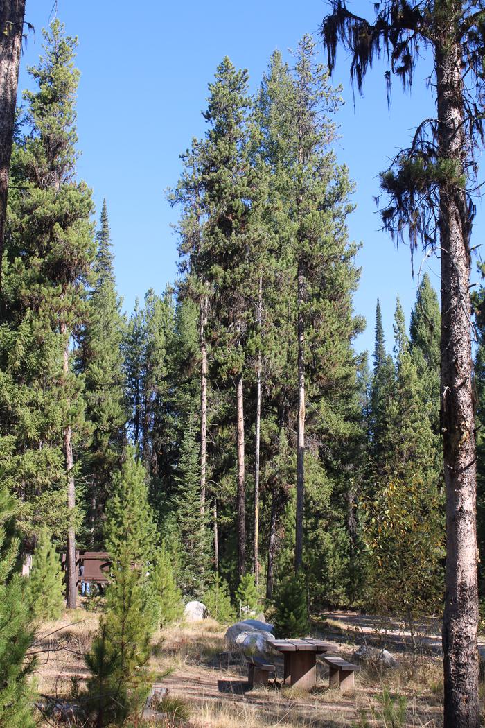 Campsite amongst the treesCampsite between trees