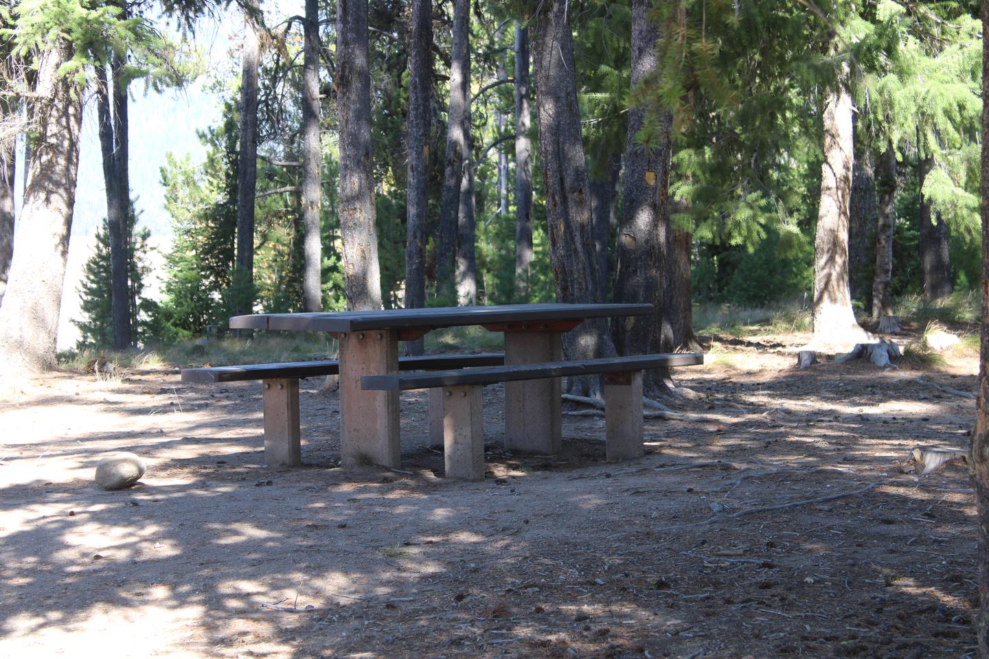 Site picnic table, shadedSite picnic table