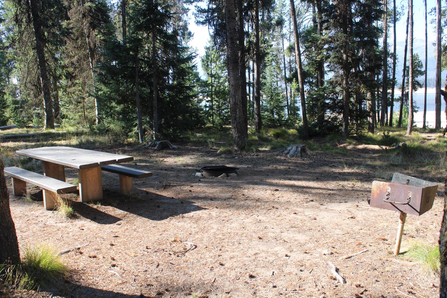 Site picnic table, fire ring, and grill