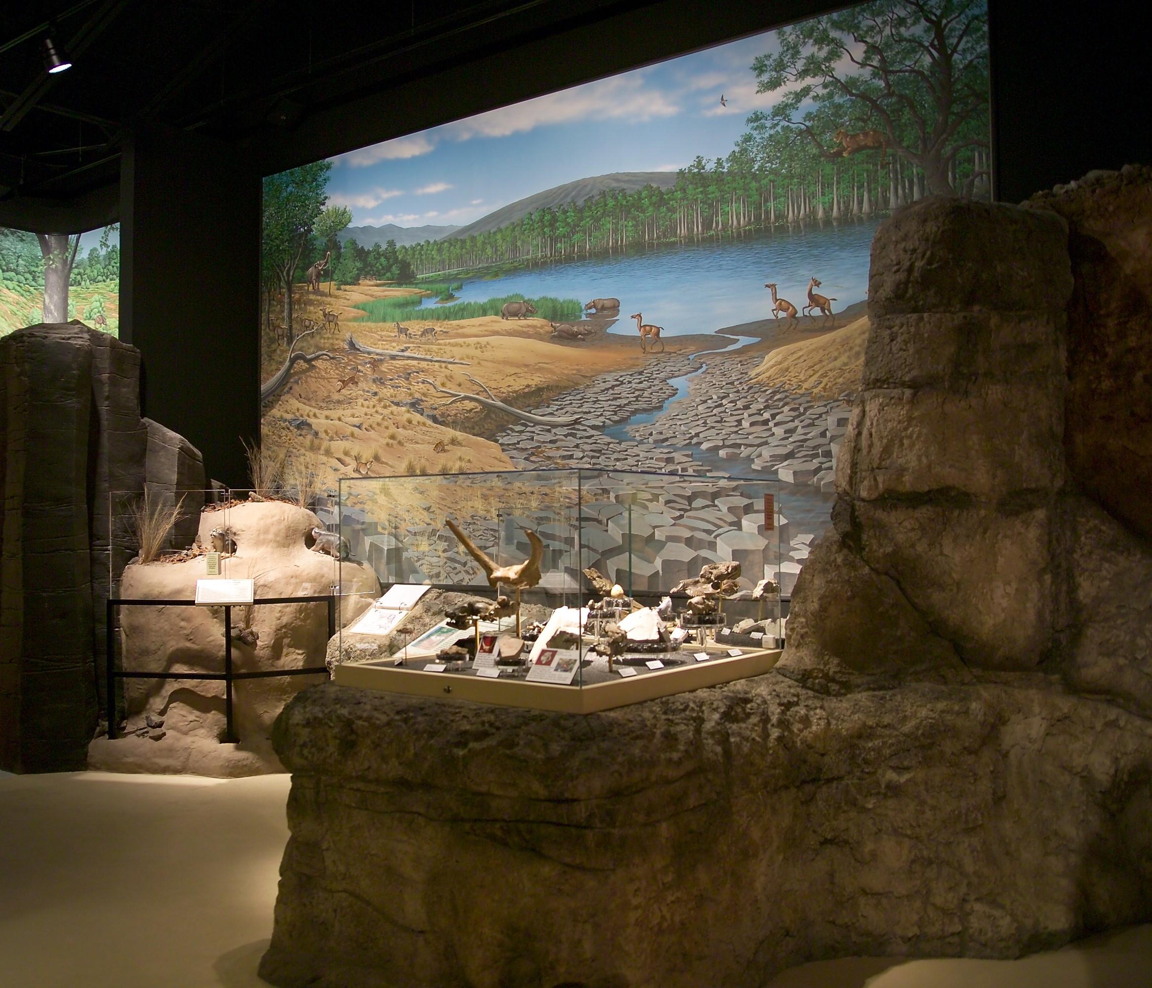 Mascall Formation Exhibit