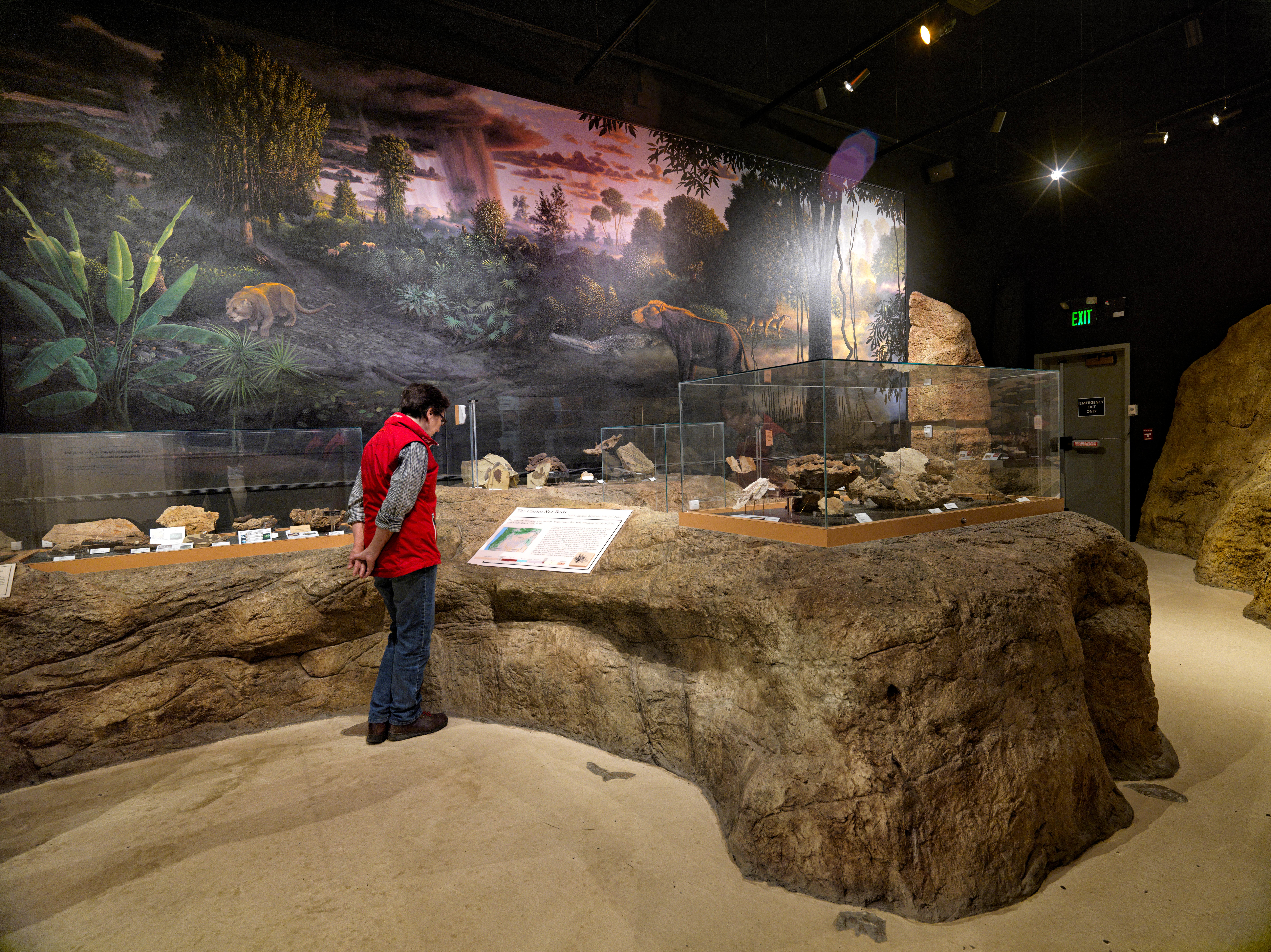 Clarno Nut Beds Exhibit