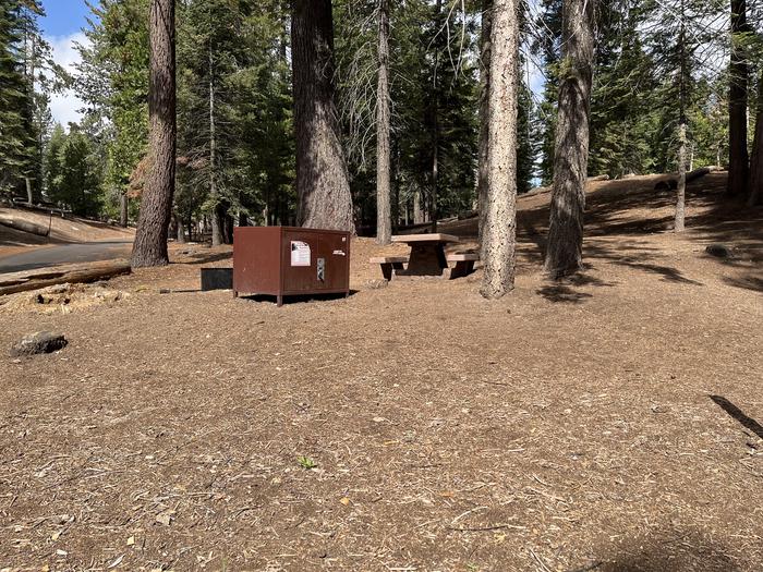 Tent pad clearing show bear box, fire ring, and picnic tableTent pad clearing