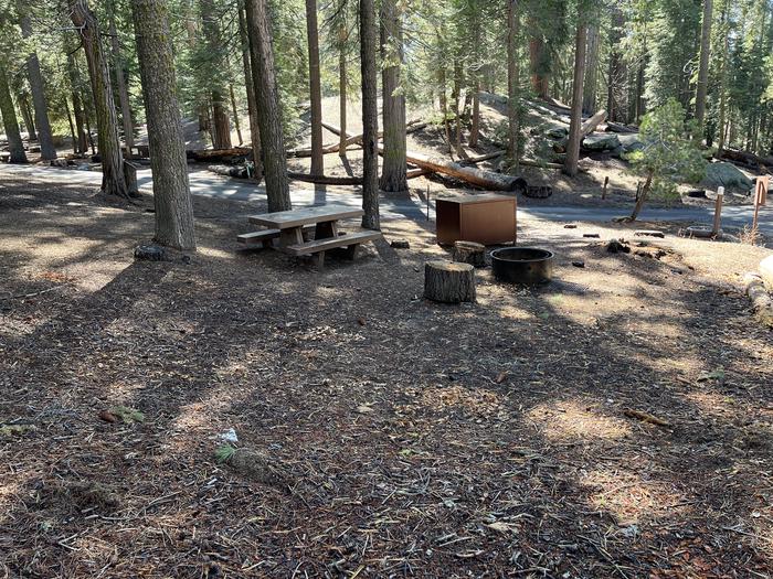 Back side of campsite showing bear box, fire ring, and picnic tableBack side of campsite