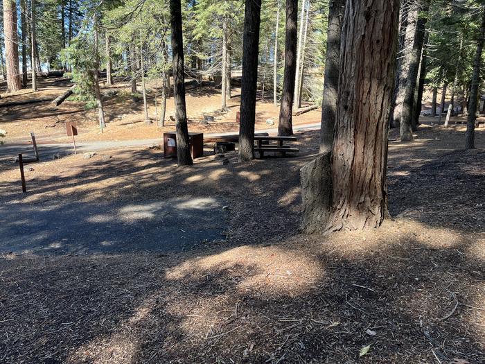 Side view of campsite showing bear box, fire ring, and picnic tableSide view of campsite