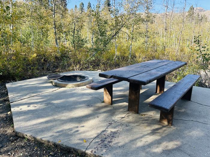 A photo of Site A19 of Loop A at PAYSON LAKES with Picnic Table, Fire Pit