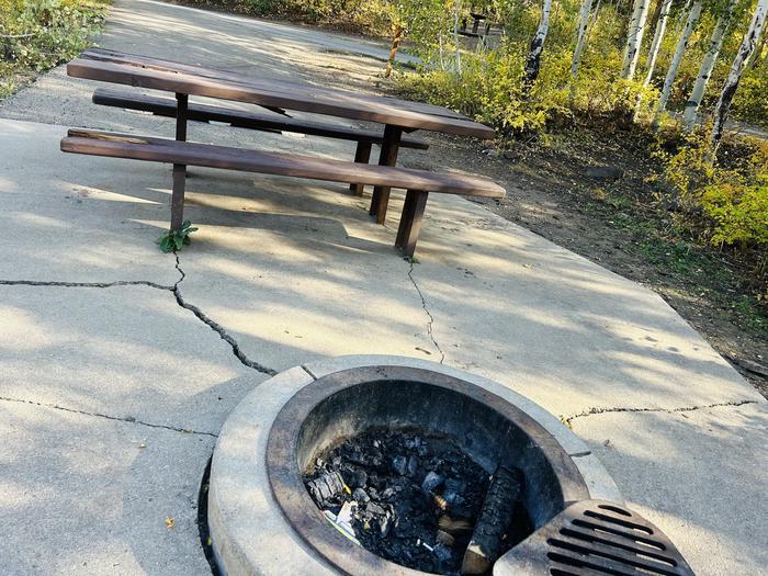 A photo of Site A19 of Loop A at PAYSON LAKES with Picnic Table, Fire Pit